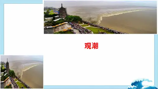 四年级语文上册观潮  第二课时 课件(共34张PPT)