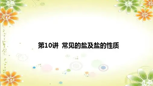2024年中考化学复习课件第10讲常见的盐及盐的性质