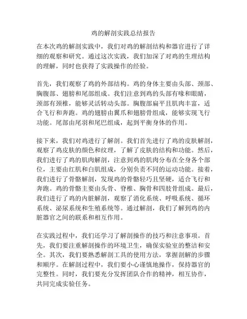 鸡的解剖实践总结报告