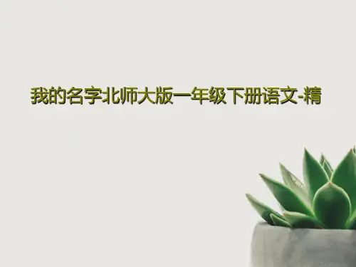 我的名字北师大版一年级下册语文-精共15页PPT