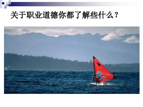 生殖健康咨询师职业道德培训讲座