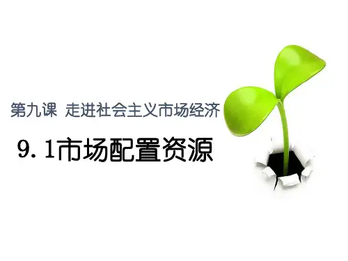 人教版高一政治必修一课件：9.1市场配置资源_(共21张PPT)