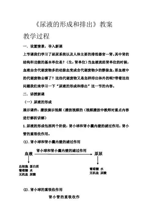 尿液的形成和排出 教案
