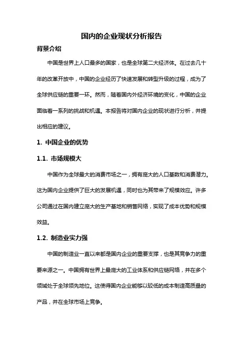 国内的企业现状分析报告