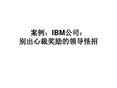 案例：IBM公司：