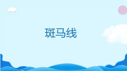 《斑马线》PPT  图文