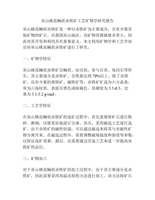 巫山桃花鲕状赤铁矿工艺矿物学研究报告