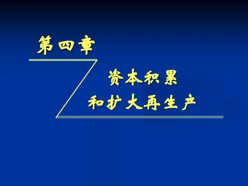 资本积累和扩大再生产(ppt 47页)