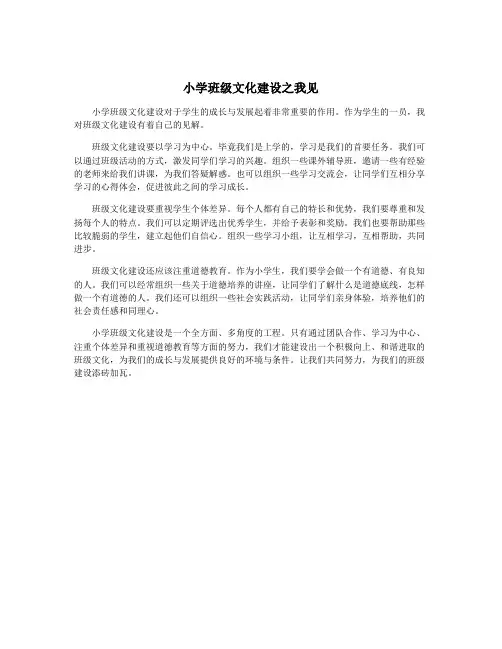 小学班级文化建设之我见