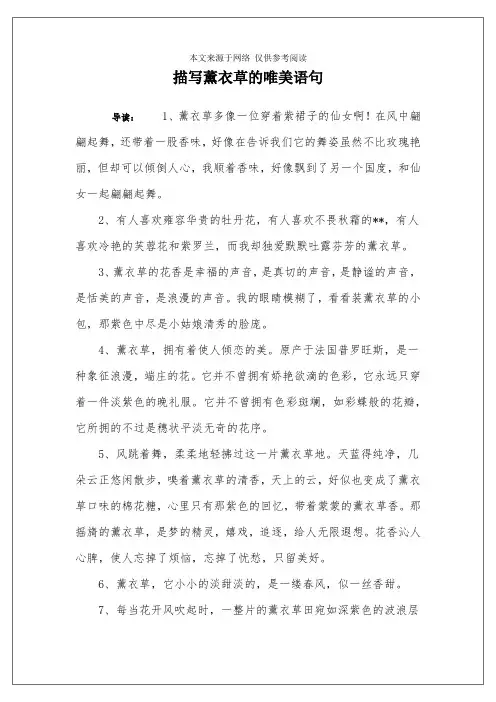 描写薰衣草的唯美语句