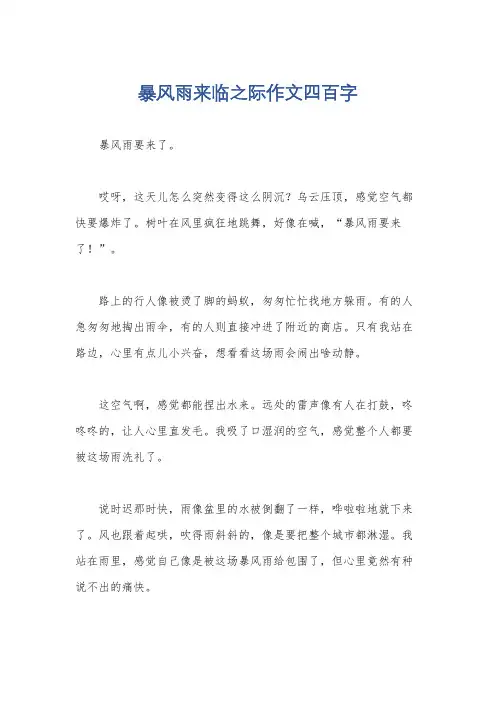 暴风雨来临之际作文四百字