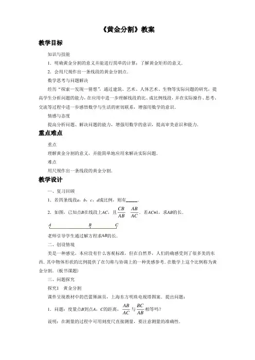 《黄金分割》教案