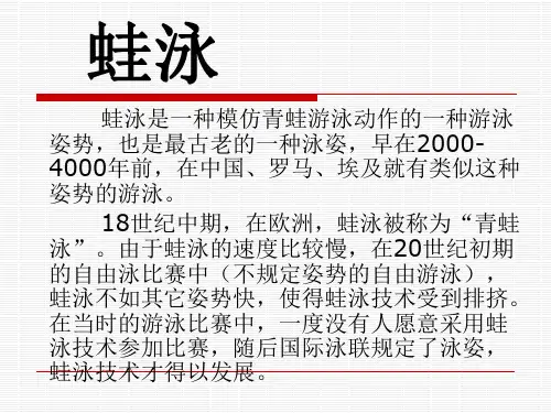蛙泳手臂动作.ppt