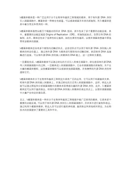 λ噬菌体载体名词解释