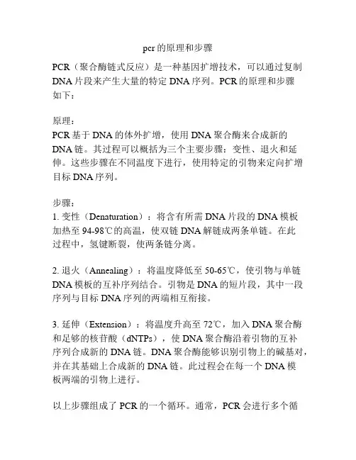 pcr的原理和步骤