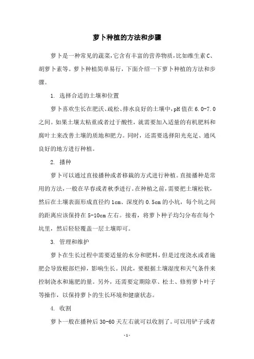 萝卜种植的方法和步骤
