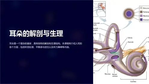 《耳朵的解剖与生理》课件