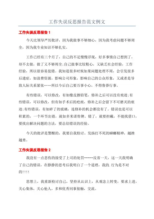 工作失误反思报告范文例文