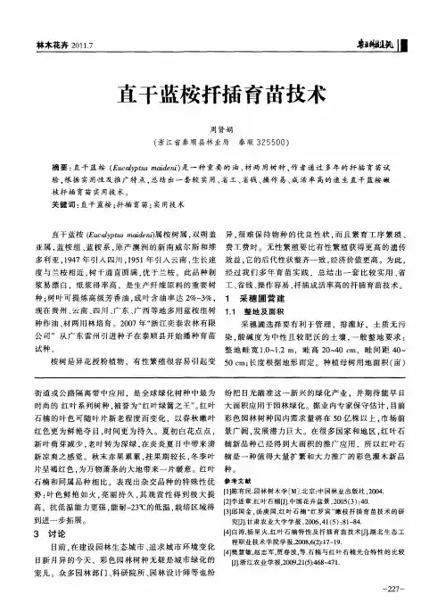 直干蓝桉扦插育苗技术