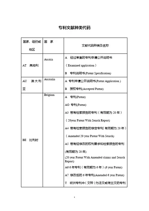 专利国别种类代码