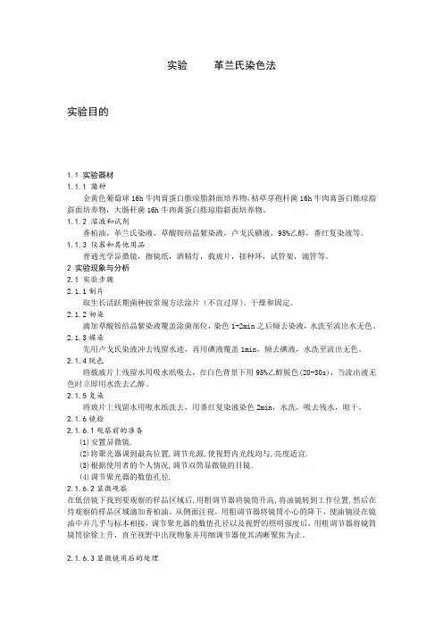 革兰氏染色法