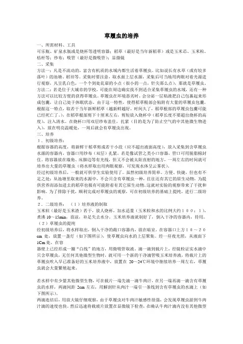 文本：草履虫的培养