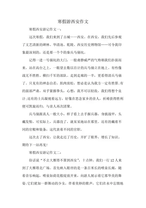 寒假游西安作文