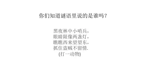  少儿创意美术-猫头鹰先生——PPT