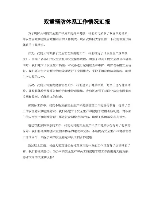 双重预防体系工作情况汇报