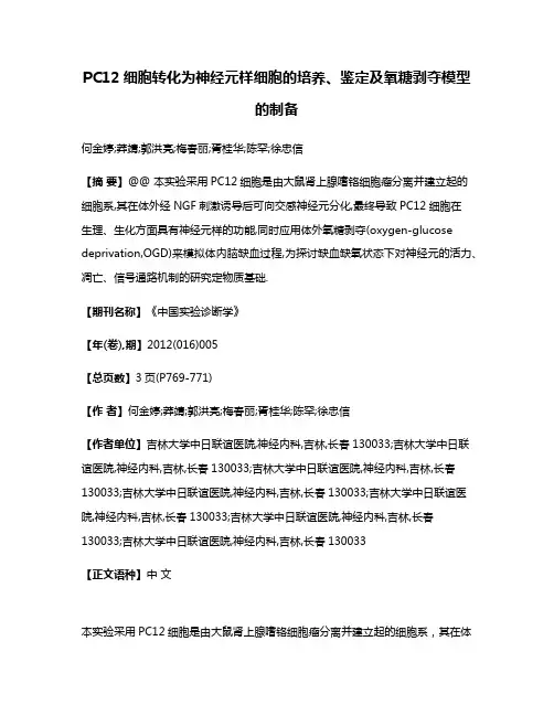 PC12细胞转化为神经元样细胞的培养、鉴定及氧糖剥夺模型的制备