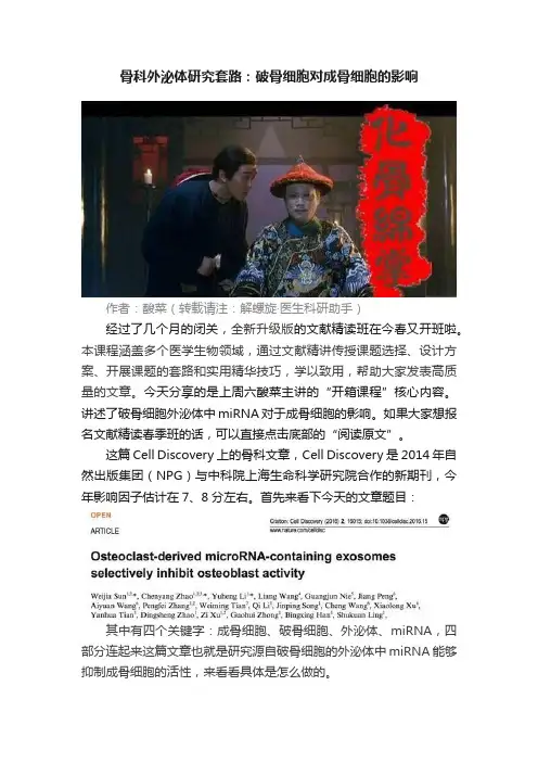 骨科外泌体研究套路：破骨细胞对成骨细胞的影响