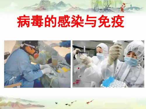 病毒感染与检测——【医学微生物学精品讲义】