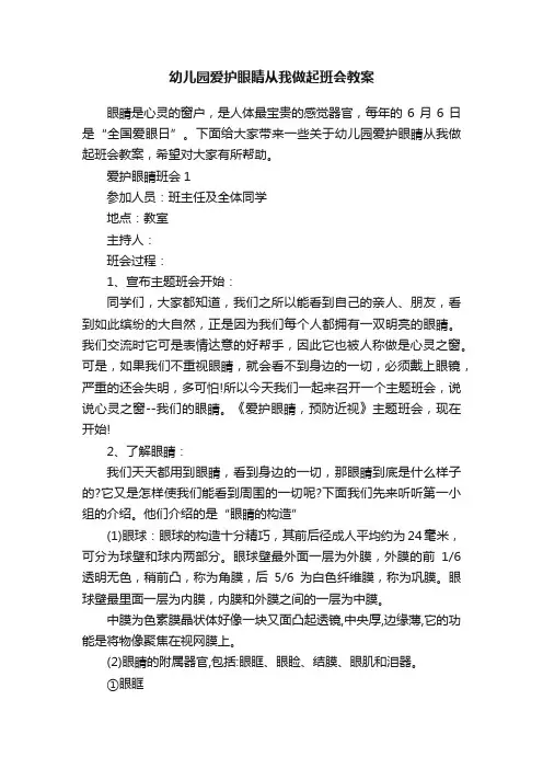 幼儿园爱护眼睛从我做起班会教案