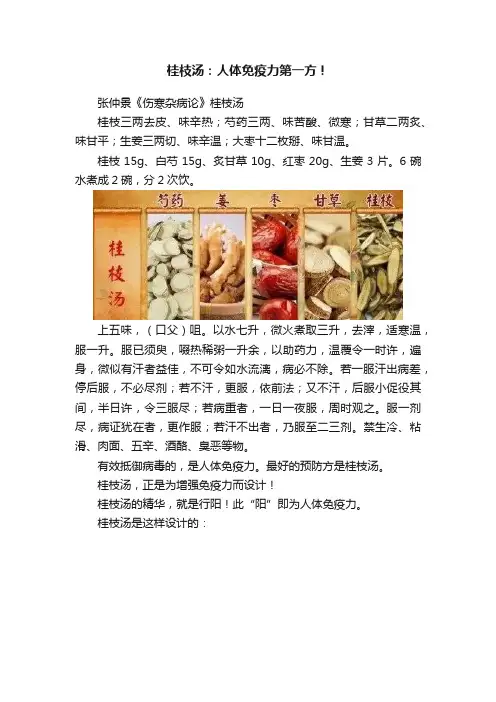 桂枝汤：人体免疫力第一方！