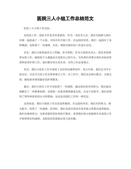 医院三人小组工作总结范文