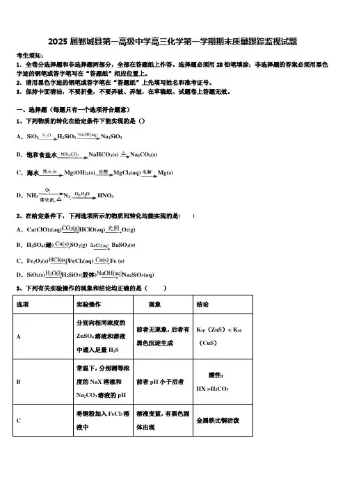 2025届郸城县第一高级中学高三化学第一学期期末质量跟踪监视试题含解析