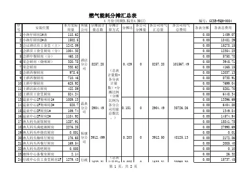 燃气能耗分摊汇总表