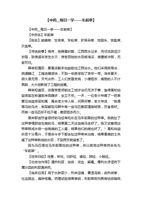 【中药__每日一学——车前草】
