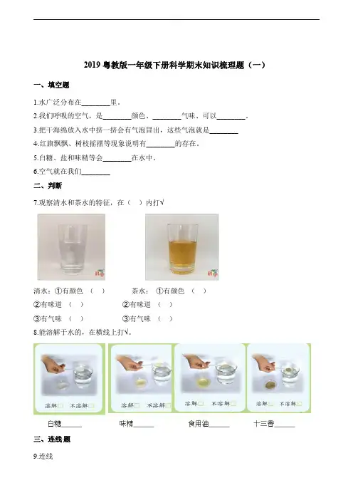 2019粤教版一年级下册科学期末知识梳理题汇总