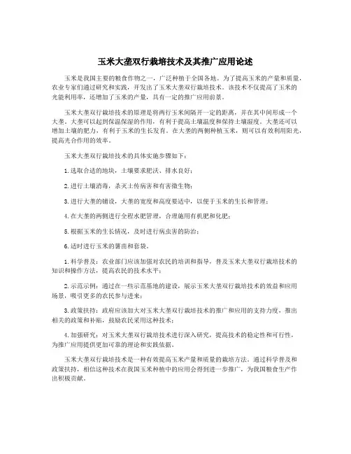 玉米大垄双行栽培技术及其推广应用论述