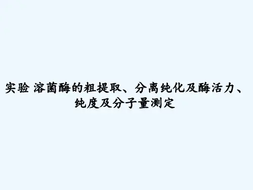 实验 溶菌酶的粗提取、分离纯化及酶活力、纯度及分子量测定 PPT