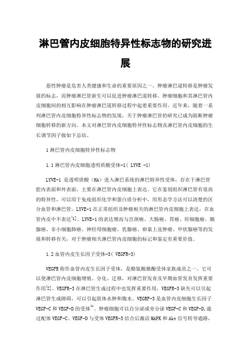 淋巴管内皮细胞特异性标志物的研究进展