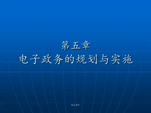 第五章 电子政务的规划与实施