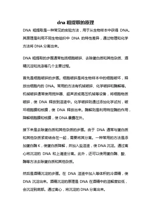 dna粗提取的原理