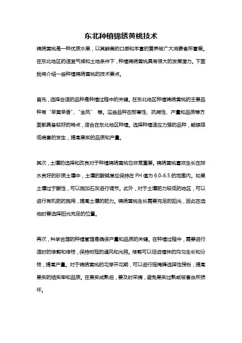 东北种植锦绣黄桃技术