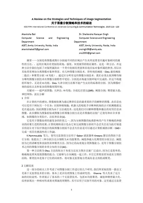 图像分割策略和技术的综述