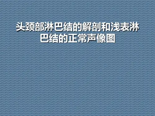 头颈部淋巴结的解剖和浅表淋巴结的正常声像图