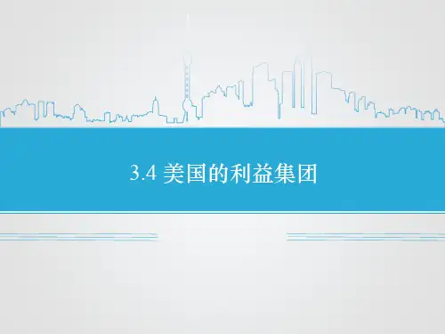 《3.4 美国的利益集团》课件1