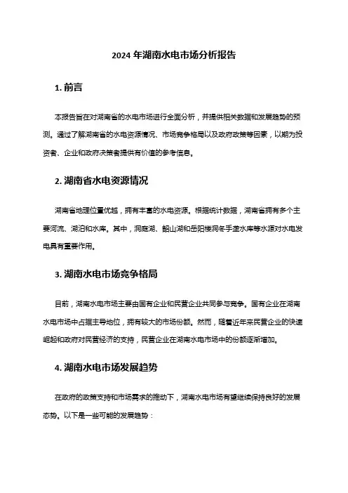 2024年湖南水电市场分析报告