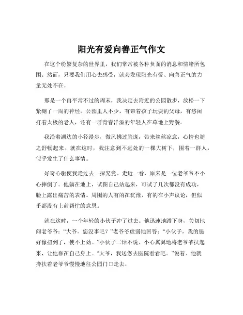 阳光有爱向善正气作文